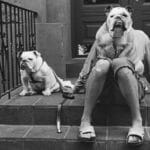 Elliott Erwitt