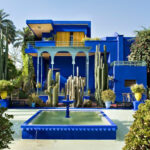Botanical Escape: Where Mexican Landscapes Meet Japanese Serenity