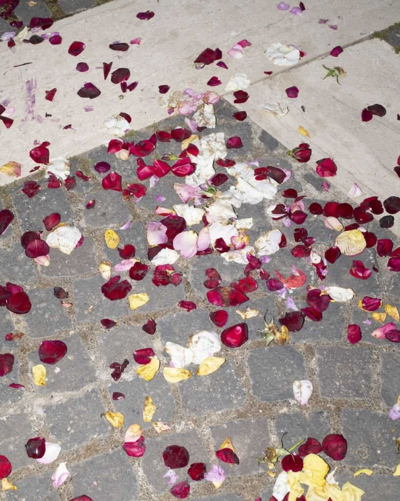 p&eacute;tales de fleurs