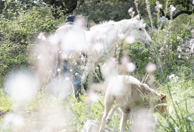 In Sardinia, Nicola Lo Calzo's Lens Revives Forgotten Insurrections