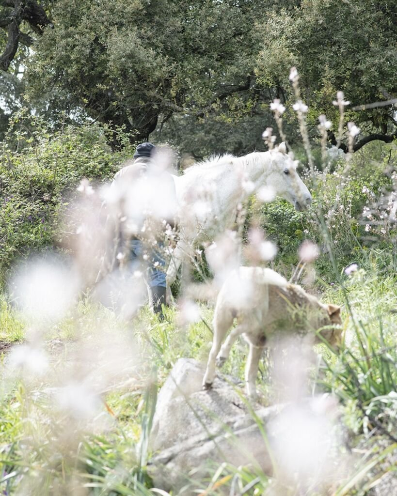 In Sardinia, Nicola Lo Calzo's Lens Revives Forgotten Insurrections
