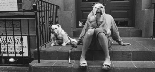 Elliott Erwitt