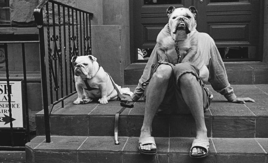 Elliott Erwitt
