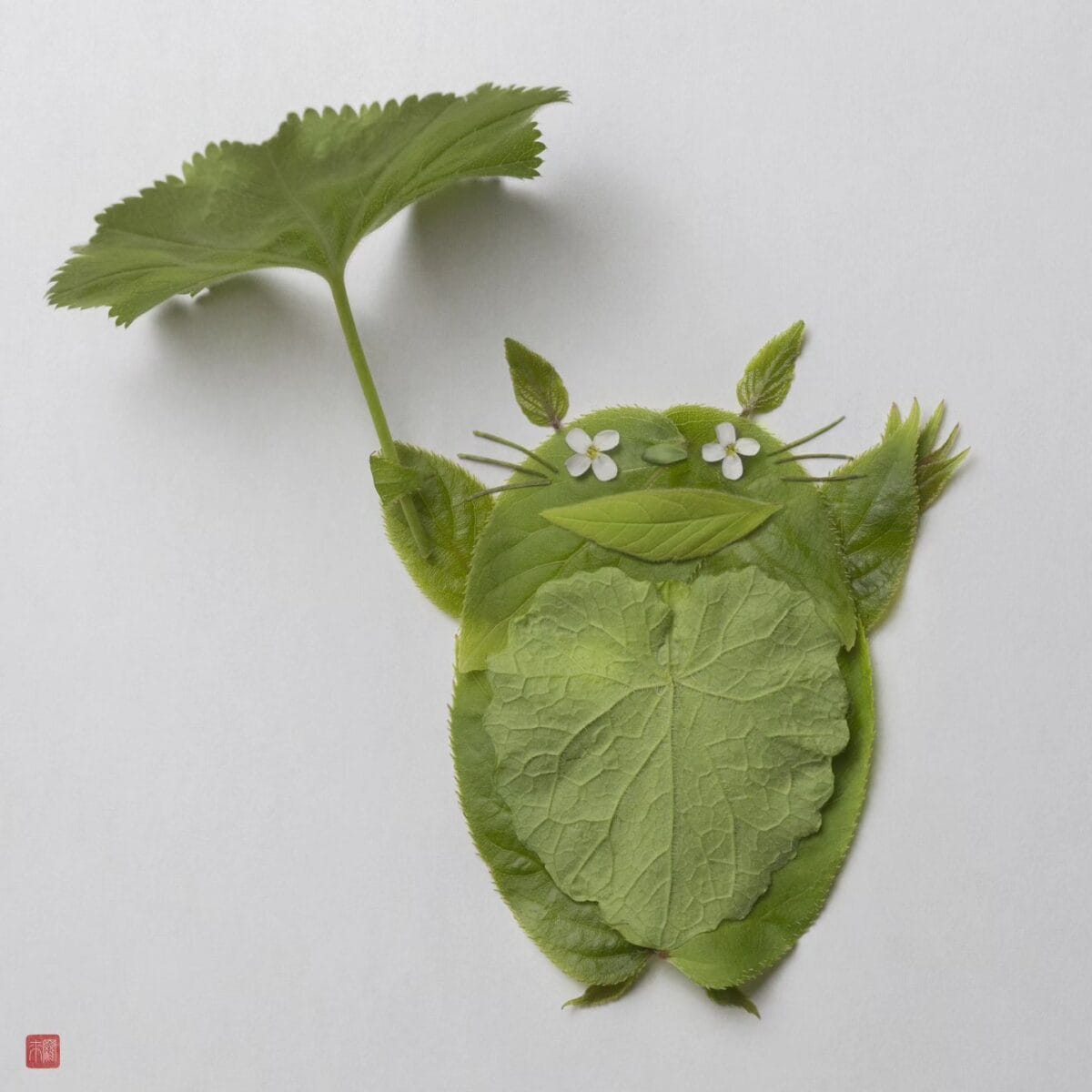 Raku Inoue - "Natura Totoro" with kiwi vines & Garden lady's-mantle