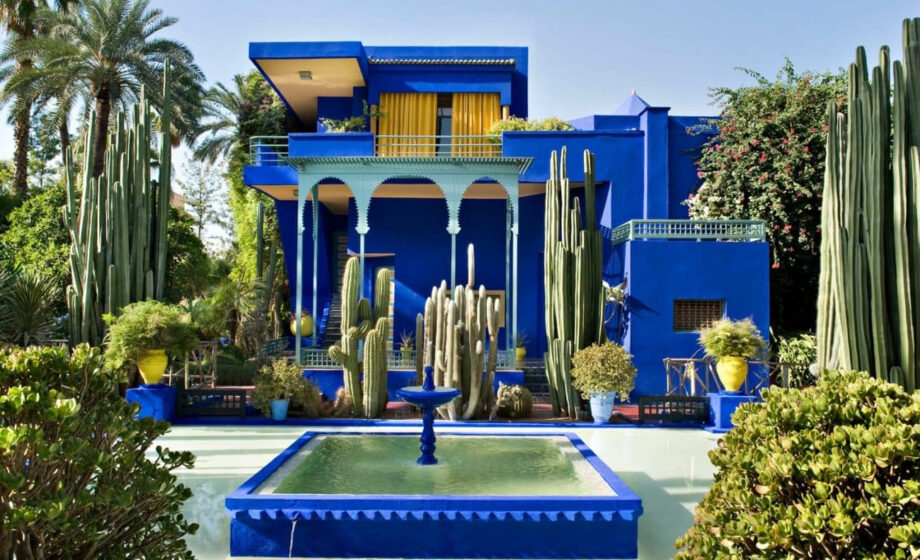Botanical Escape: Where Mexican Landscapes Meet Japanese Serenity